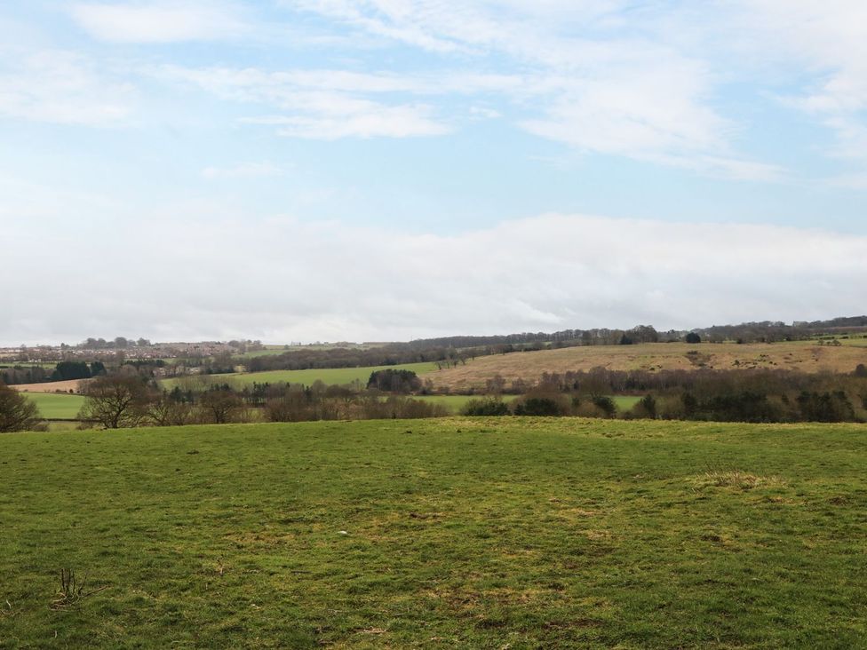 A landscape view of grass and trees at High Church Hill in Durham