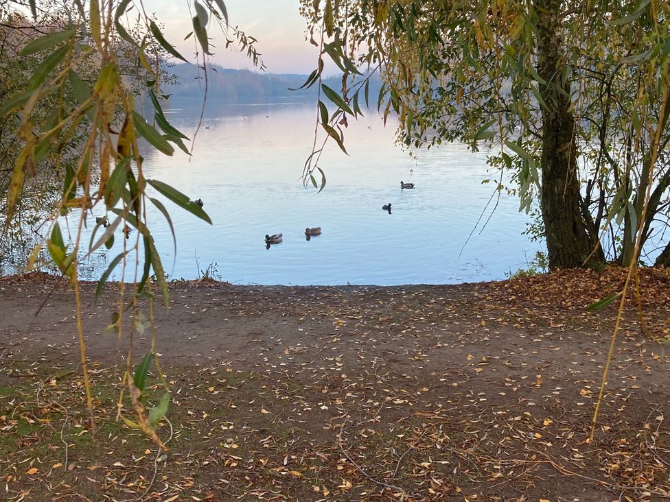 A view of water with ducks and trees at Coach Lodge in Retford