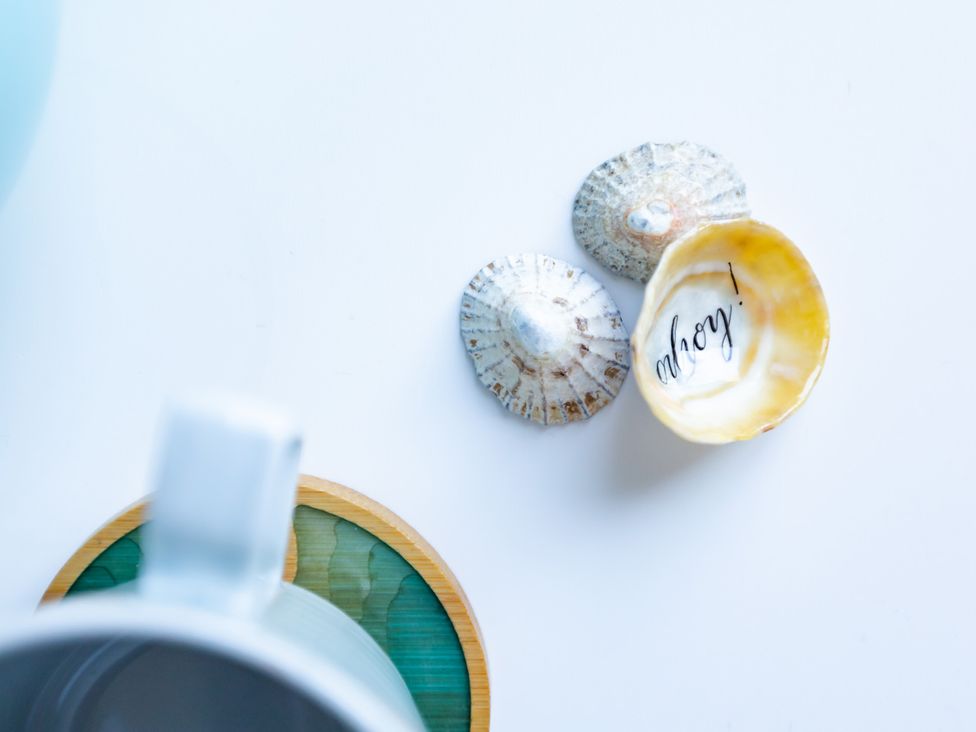 A mug on a coaster next to seashells at 11A Cards Wynd Anstruther