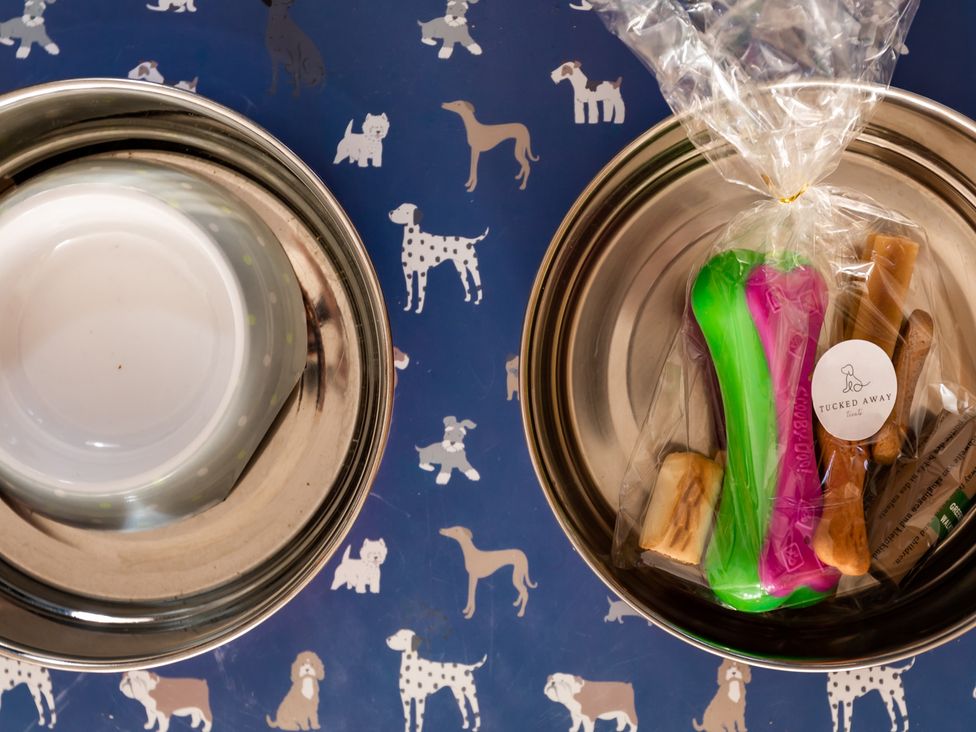 A dog food bowl and treats with a toy on a dog-themed table at 11A Cards Wynd Anstruther