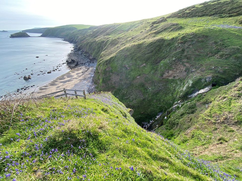 A coastal view with cliffs and flowers at Seren Fach near Aberdaron