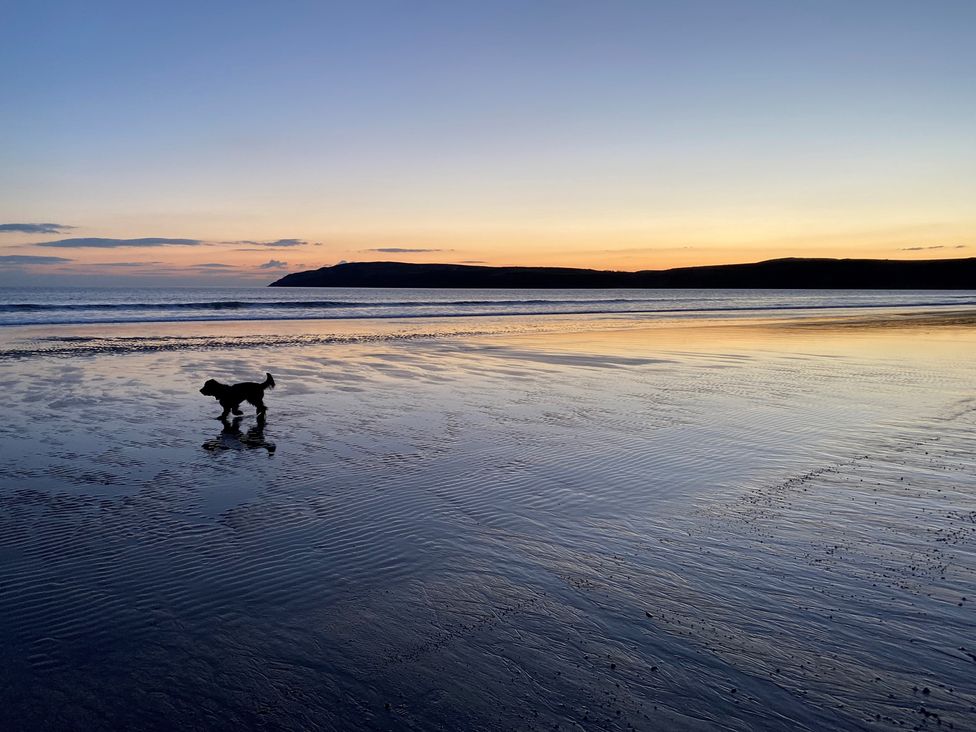 A dog on the beach during sunset at Seren Fach near Aberdaron