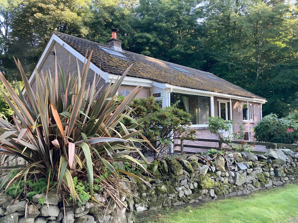 A house with a garden and stone wall at Whispering Trees Cottage Thornhill