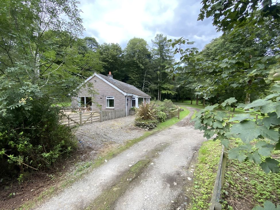 A house with trees and a driveway at Whispering Trees Cottage in Thornhill