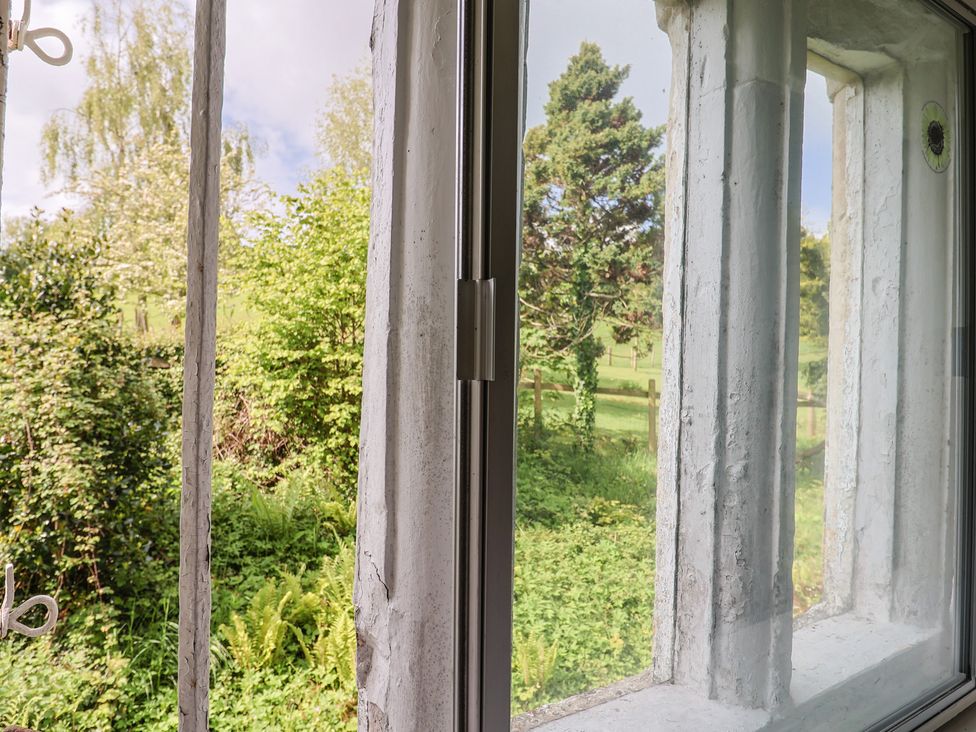 A window view showing greenery and trees at Ellishayes Farm in Combe Raleigh