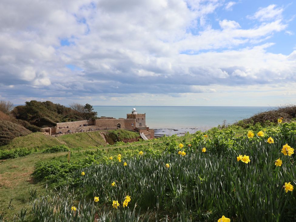 A view of the ocean and a fortress with flowers in the foreground at Ellishayes Farm in Combe Raleigh