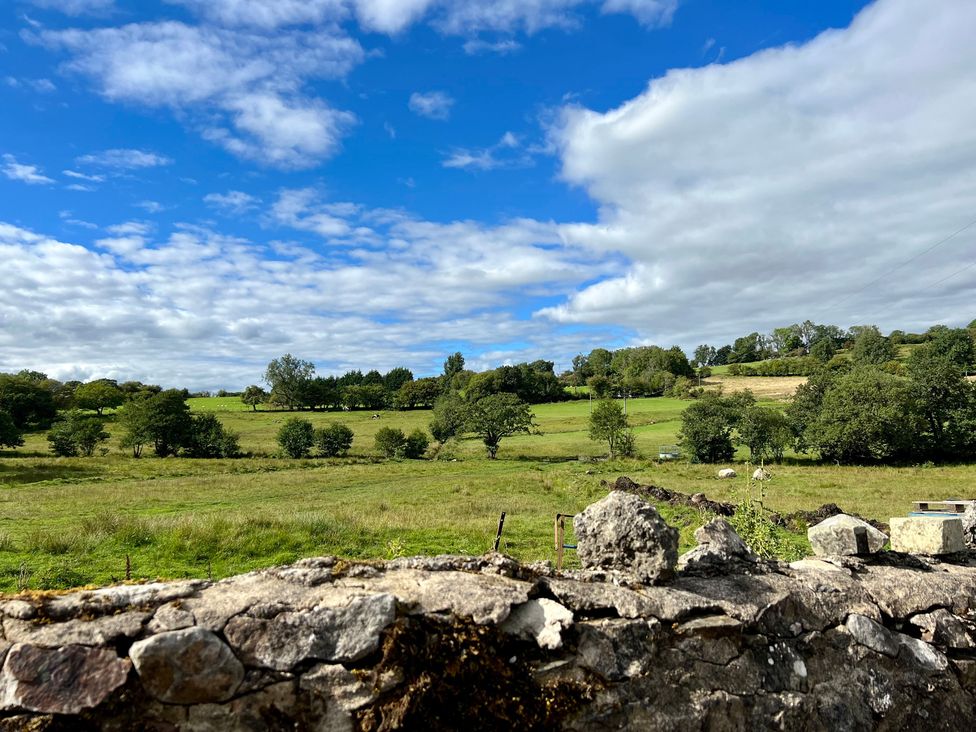 A view of a grassy field and trees at Penderyn Cottage Aberdare