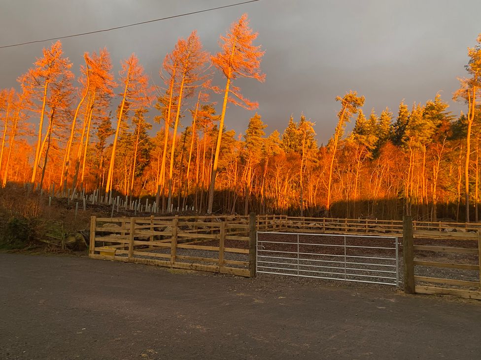 A scene with trees and a gate at The Annex at Meeks Park in Alloa
