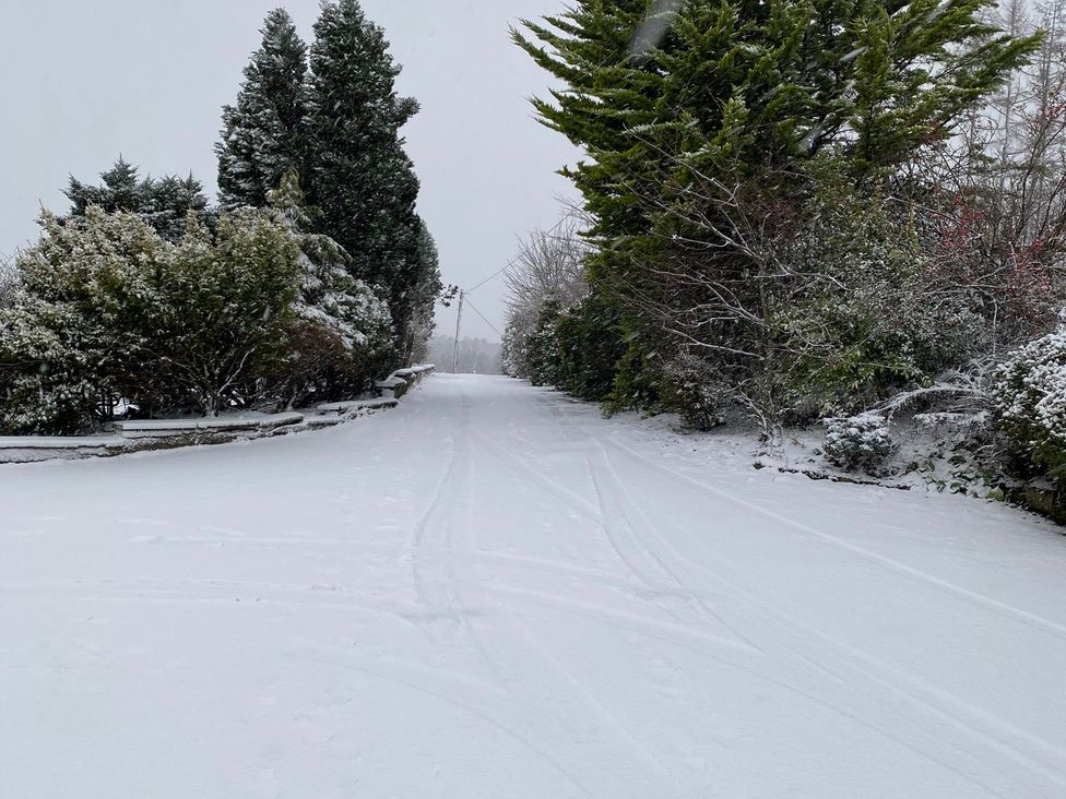 A snow-covered road surrounded by trees and bushes at The Annex at Meeks Park in Alloa