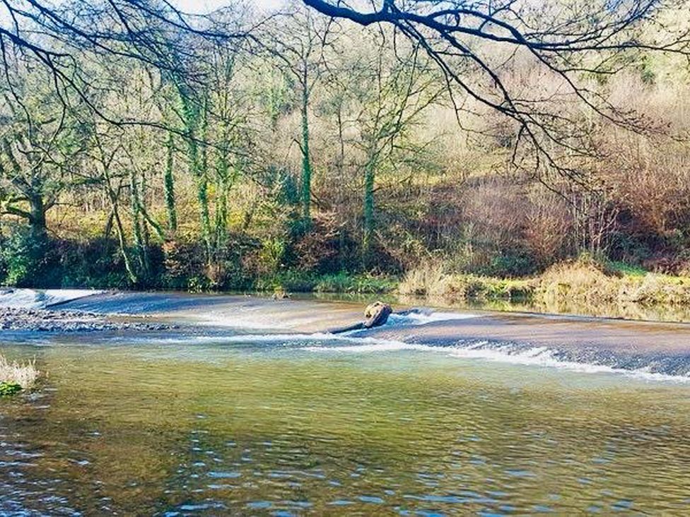 A river with trees along the banks at The Bark House in Tiverton