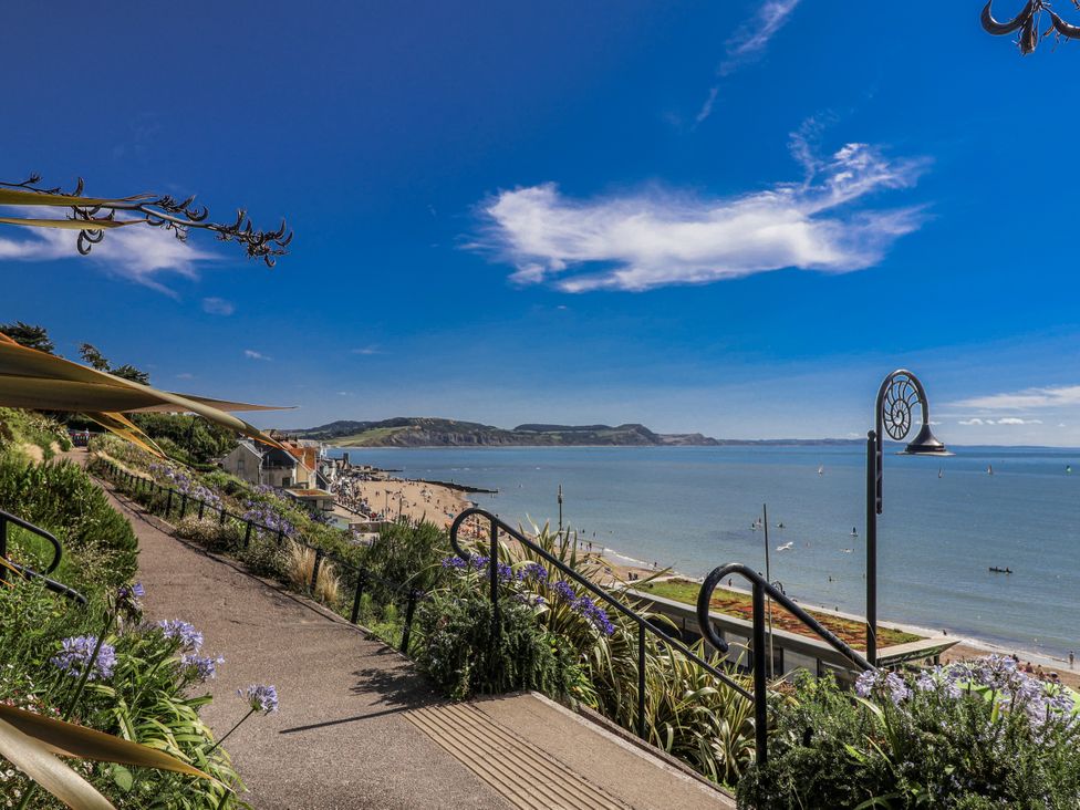 A view of the beach and sea with steps and plants at Honeypot Cottage in Whitchurch Canonicorum