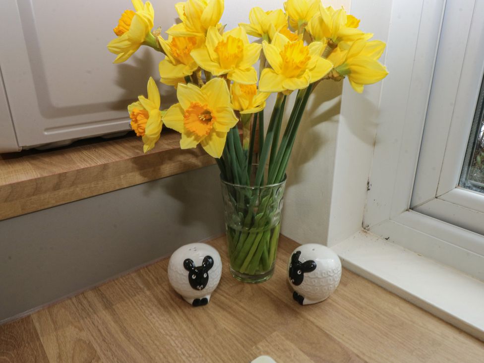 A kitchen with flowers in a vase and sheep figurines at Heidiaway Lodge Porth