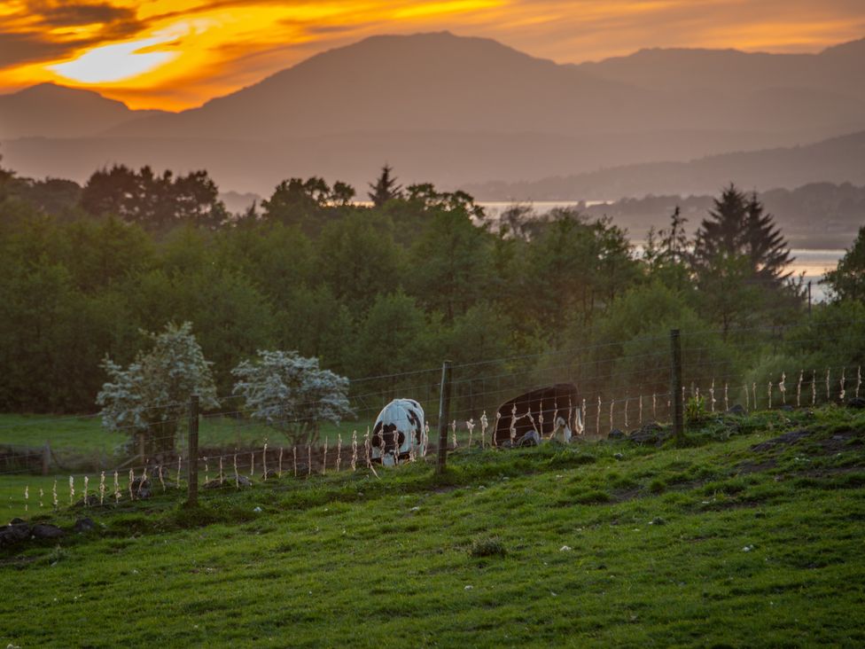 A landscape with cows grazing near a fence during sunset at Nethermill Lodges in Port Glasgow