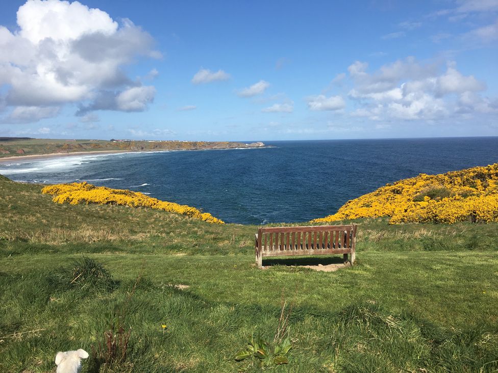 Zen Cottage -  - 1193941 - thumbnail photo 40