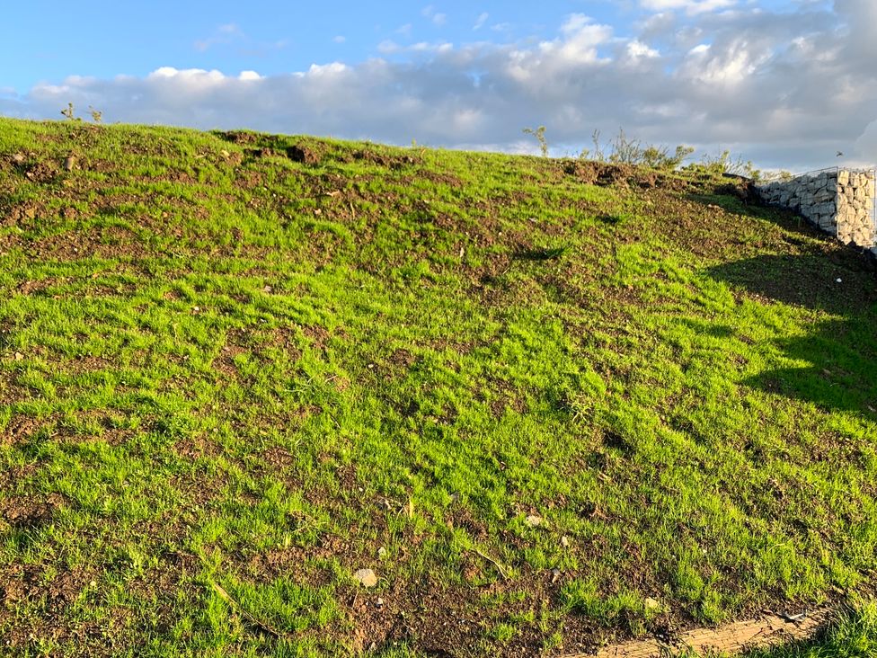 A grassy slope with rocks and a wall at Cosy Escape in Sheerness