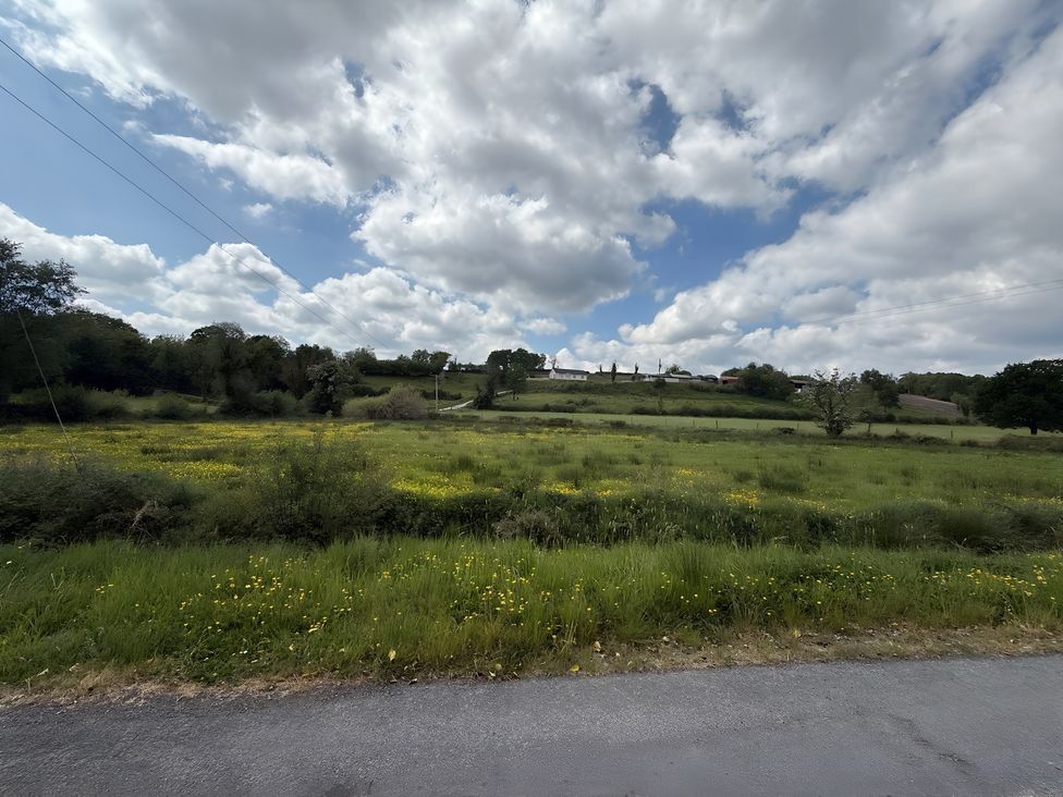 A field with grass and trees under a cloudy sky at Cherry Chirp Cottage Enniskillen