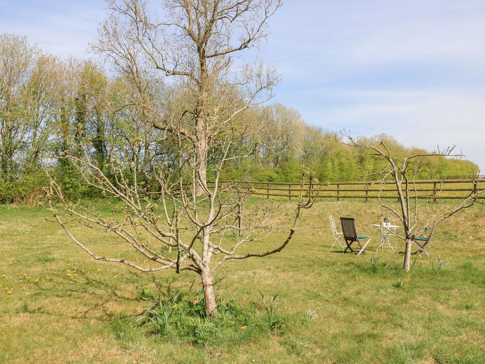 A garden with trees and chairs at Foxhill Farm Barn Cheltenham