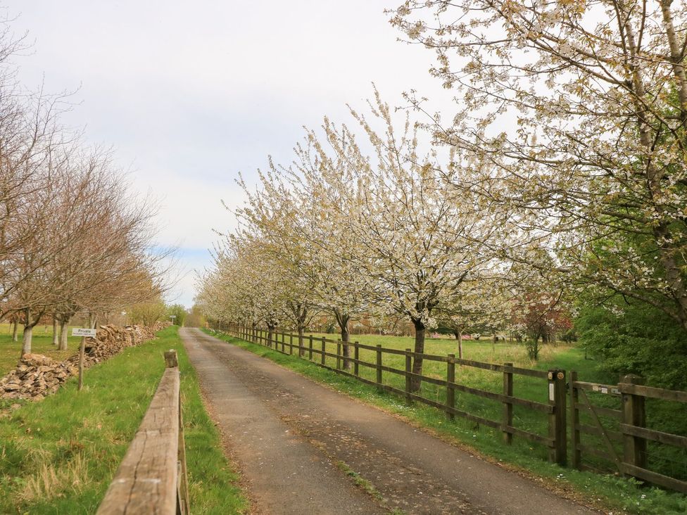 A road lined with flowering trees at Foxhill Farm Barn in Cheltenham