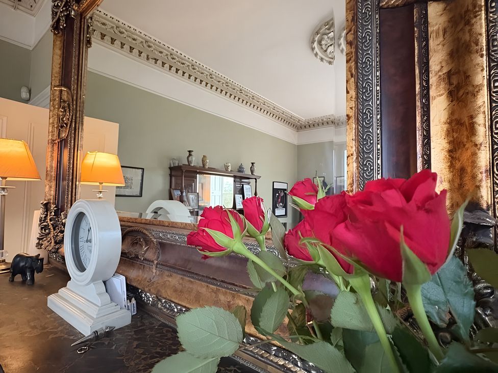 A living room with roses and lamps at Fountain Hill House in Londonderry