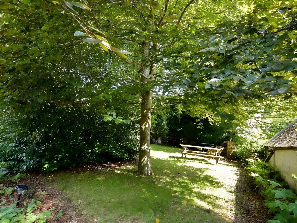 A garden area with a tree and a bench at Fountain Hill House in Londonderry