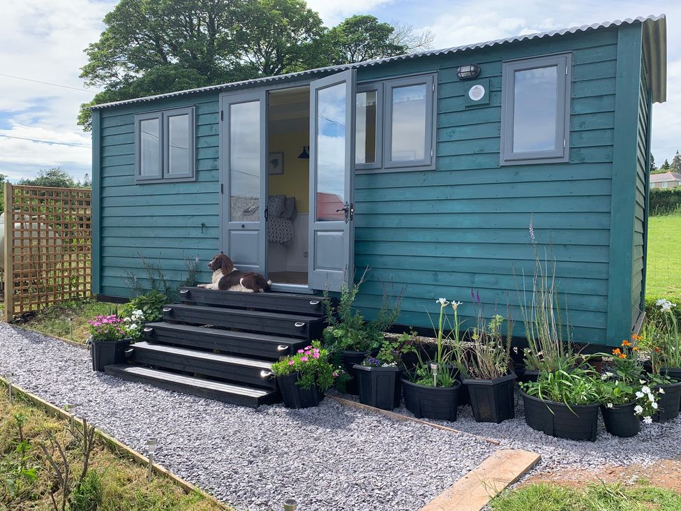 Bluebell Shepherd’s Hut - Anglesey - 1193968 - thumbnail photo 1