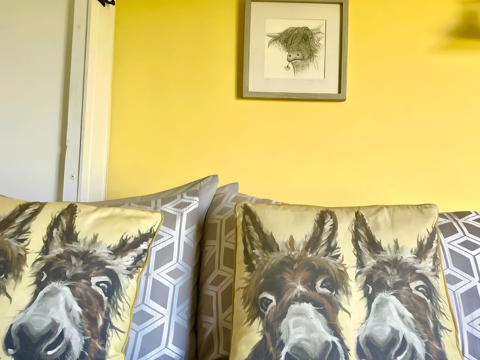 A living room with cushions and artwork at Bluebell Shepherd’s Hut in Llanfairpwllgwyngyll
