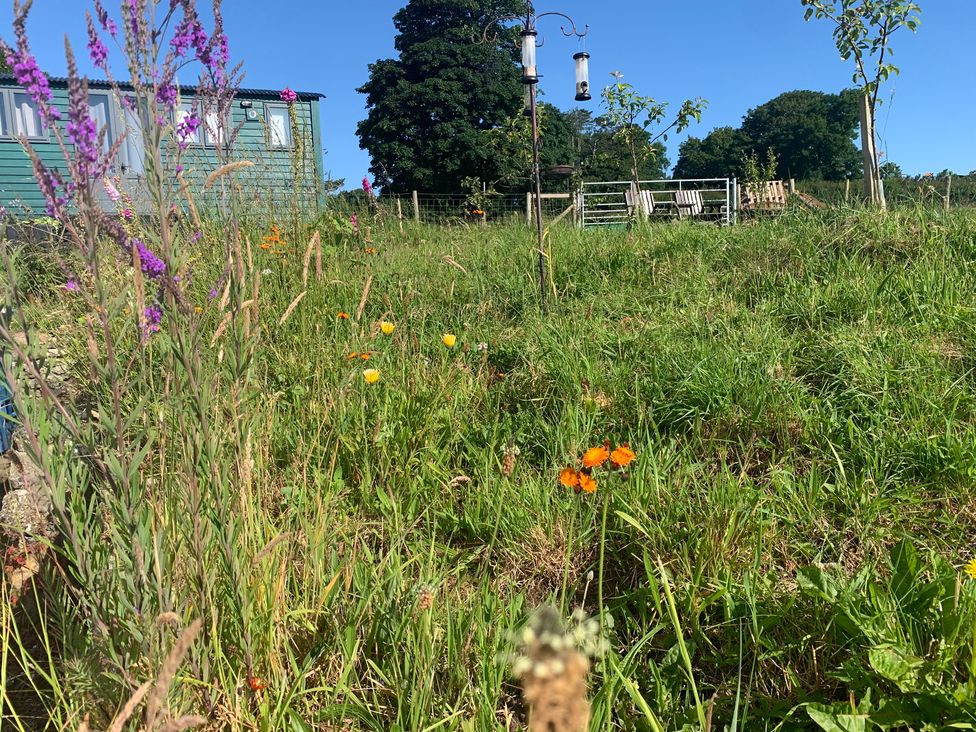 A garden with flowers and a hut at Bluebell Shepherd’s Hut in Llanfairpwllgwyngyll