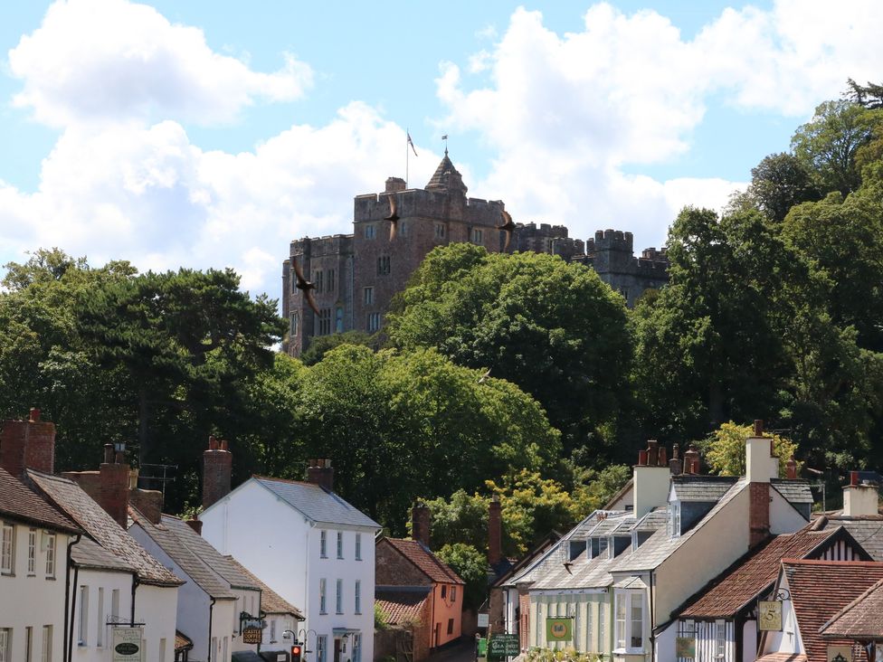A view of a castle above houses and trees at The Olde Forge in Minehead