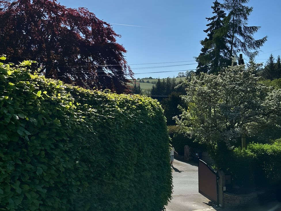 A view of a garden with hedges and trees with a pathway at Hope Valley - Studio Hope Valley
