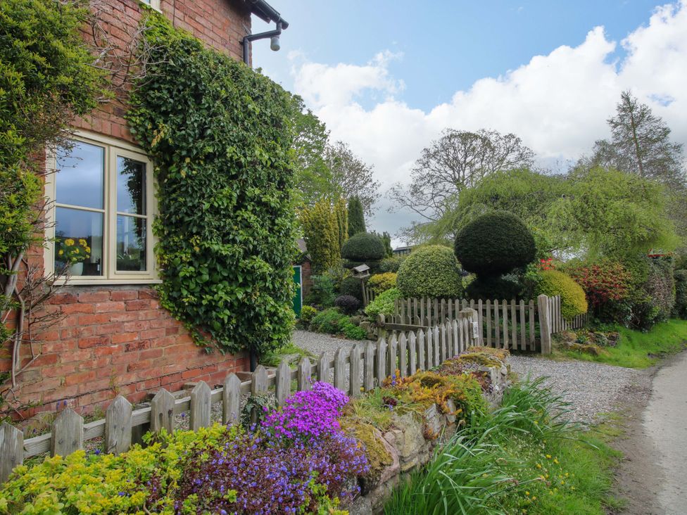 A garden with flowers and a fence at Cardington 25