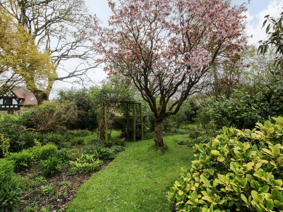 A garden with a flowering tree and a wooden arch at Cardington 25 