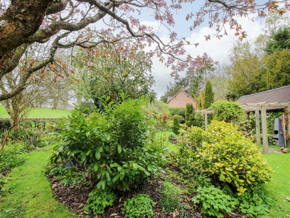 A garden with various plants and trees at Cardington 25