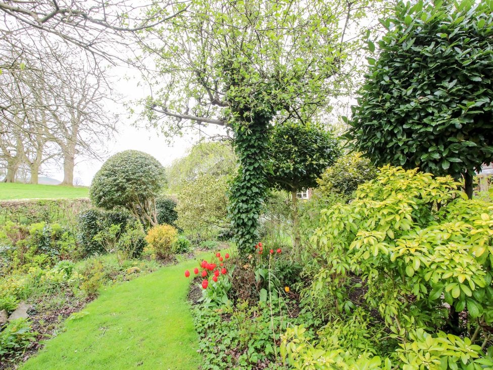 A garden with grass and various plants at Cardington 25 