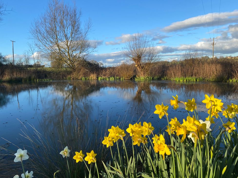 Christmas Cottage - Cotswolds - 1193981 - thumbnail photo 32