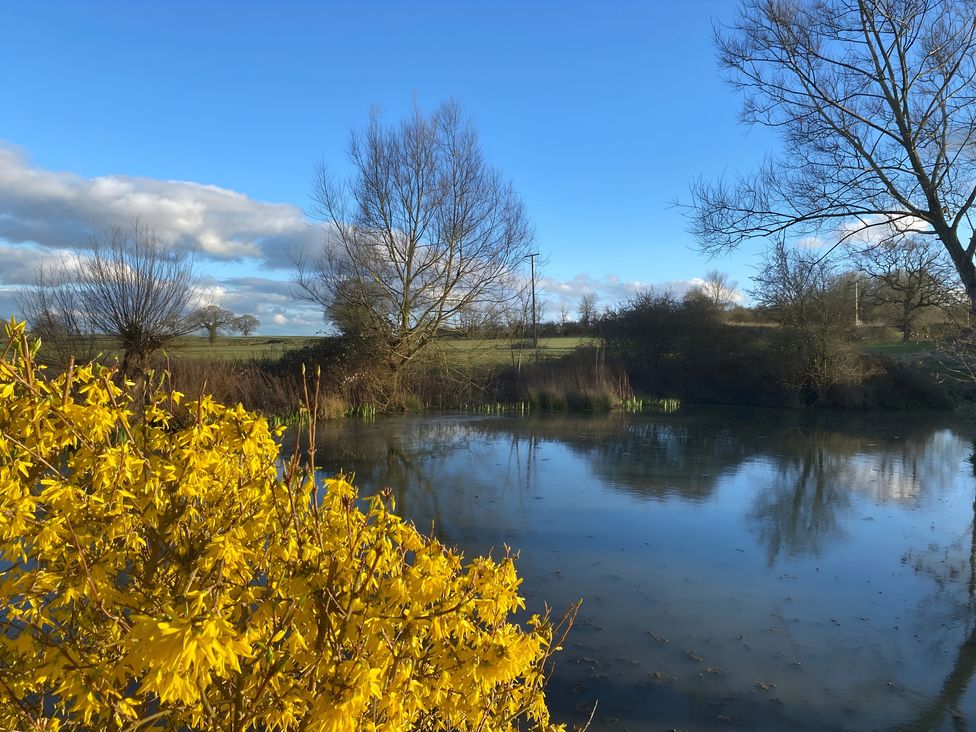 A pond with trees and yellow flowers at Christmas Cottage in Shipston-on-Stour