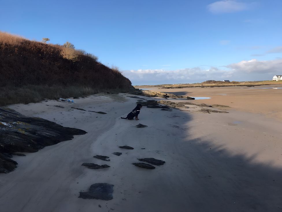 A beach with sand, rocks, water, and a dog at Country Retreat Sleeps 2 Holyhead