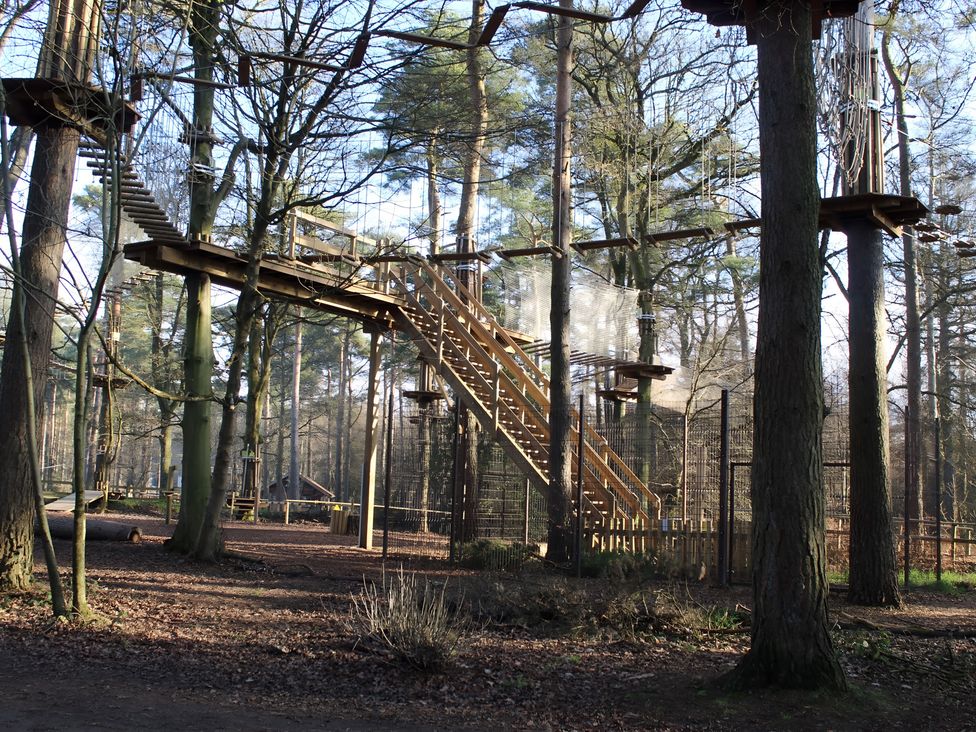 An outdoor adventure course with wooden platforms and stairs in a forest at Loxley Barn Tring