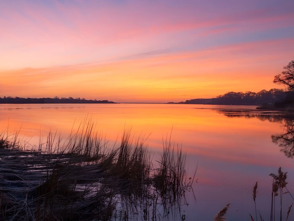 A landscape with water and reeds at Loxley Barn in Tring