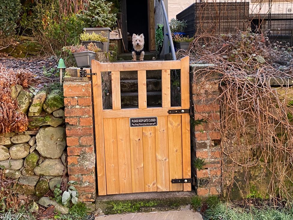 A wooden gate with a dog on the stairs at Shepherds hut in Dumfries