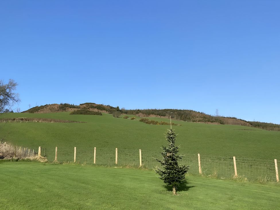 A landscape with a tree and hill at Shepherds hut in Dumfries