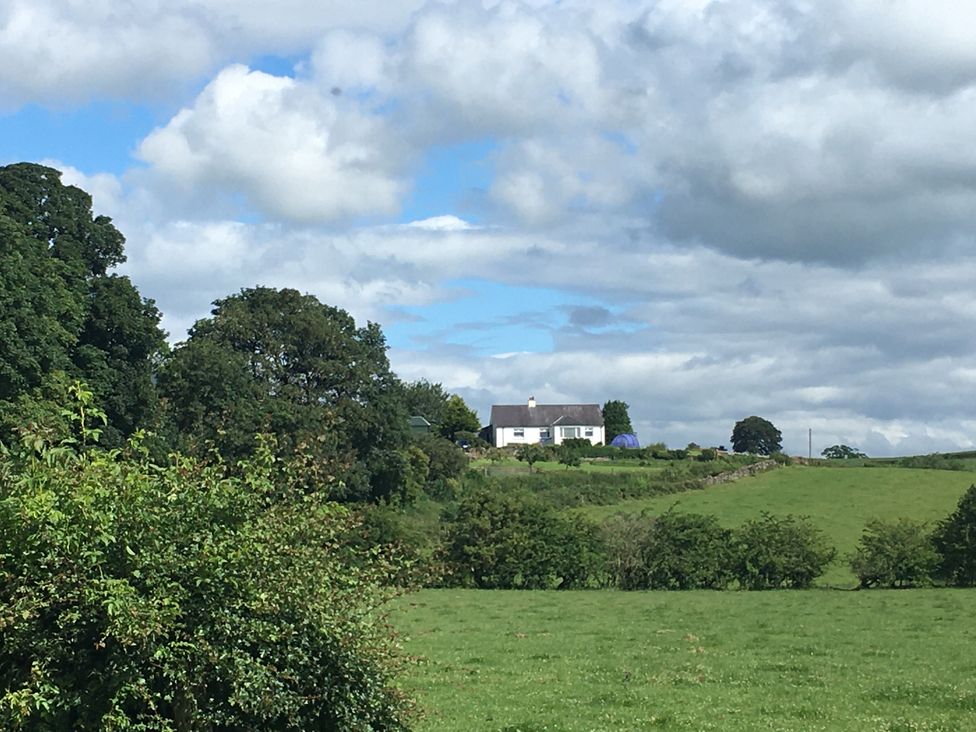 A house among trees and grass at Shepherds hut in Dumfries