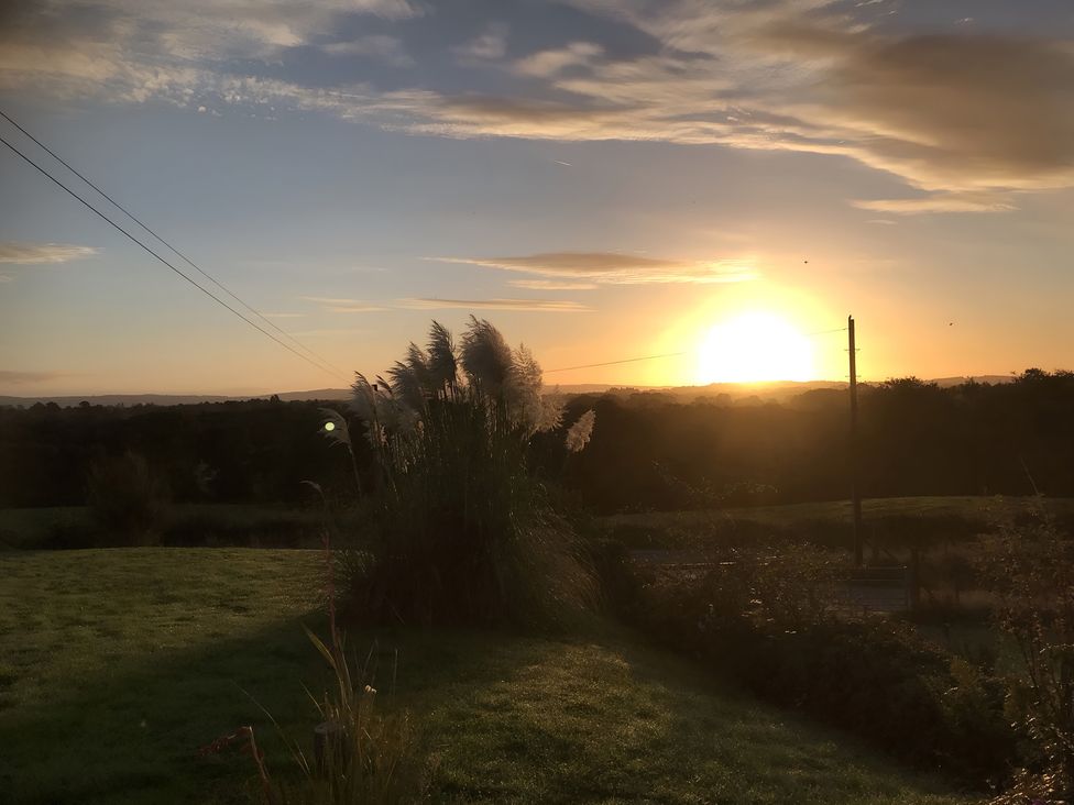 A landscape with sunset and pampas grass at Shepherds hut Dumfries