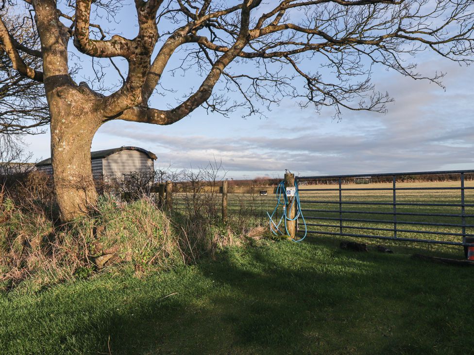 A field with a tree and a gate at Rhosgranog Shepherds Hut Llandeloy near Solva