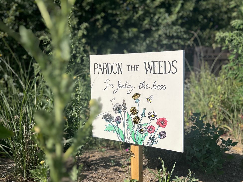 A garden sign stating pardon the weeds, I'm feeding the bees at Rustwood Manor, Minety