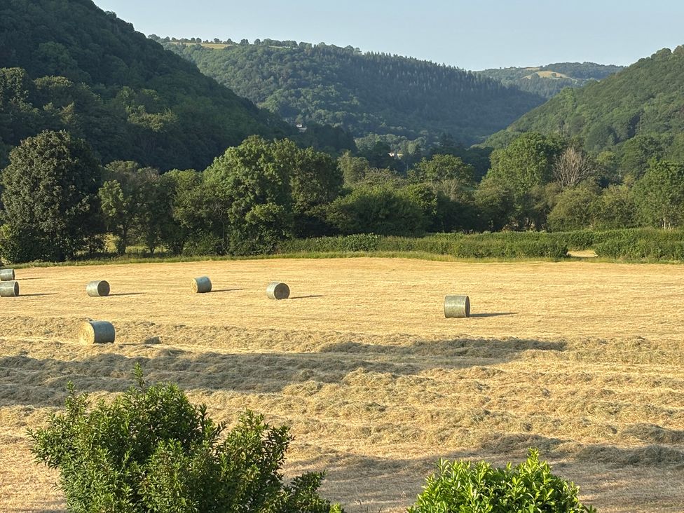 A field with bales of hay and trees at Araelfa in Llwynmawr