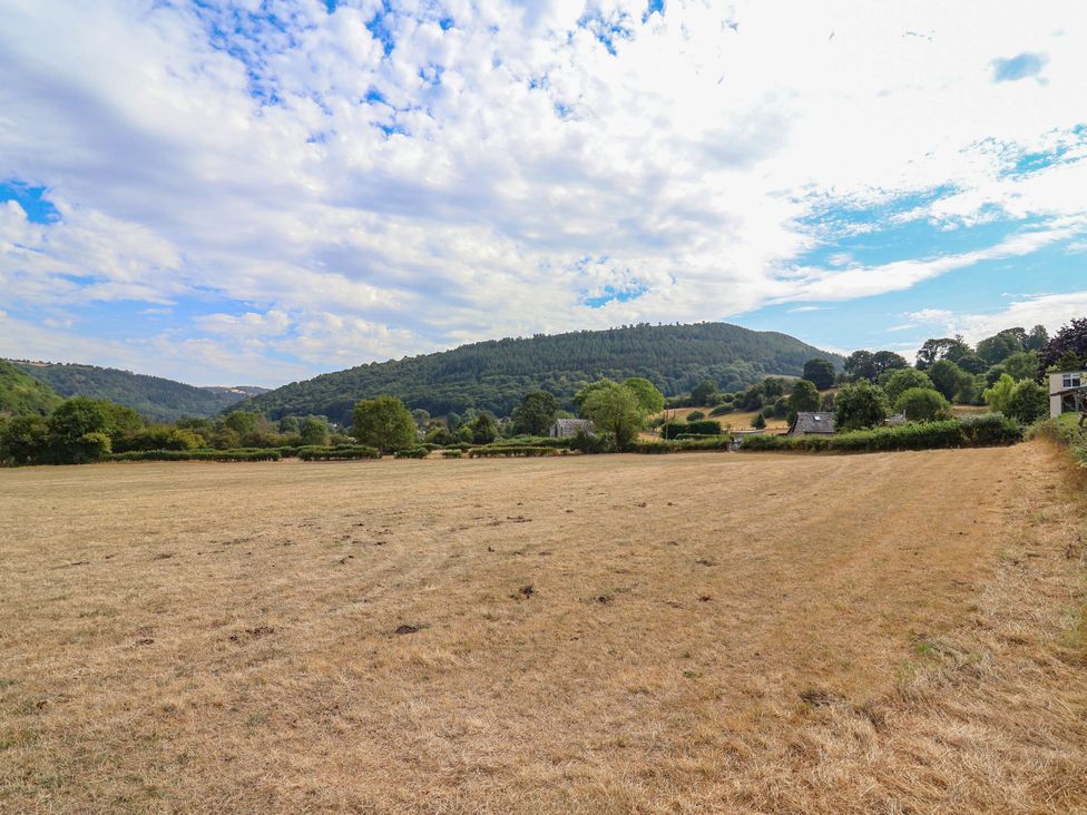 A field with trees and mountains at Araelfa in Llangollen