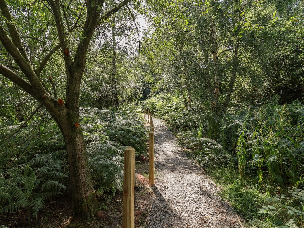 A path through trees and ferns at The Oaks 2 Bedrooms Delamere