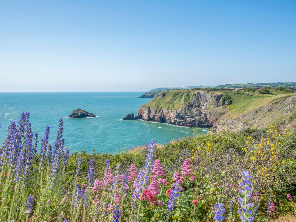 A coastal view with cliffs and wildflowers at Caravan A10 at Landscove Holiday Park Brixham