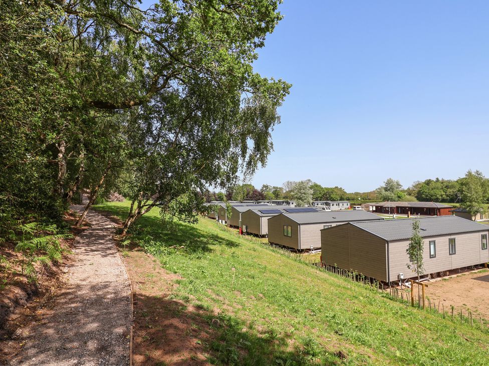 A view of cabins along a pathway at Cedar Lodge 2 Bedrooms Delamere