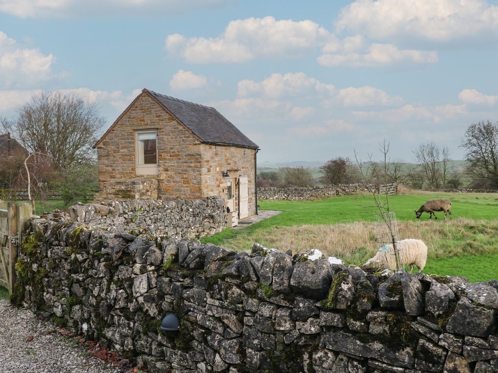 A stone building and sheep in a grassy area at Little Barn in Leek